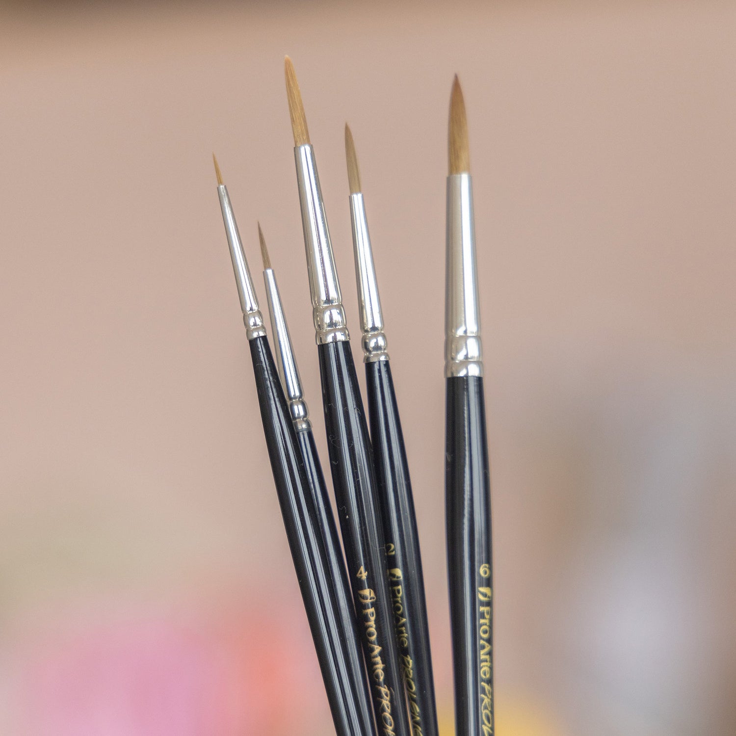 A selection of five Pro Arte Prolene fine pointed watercolour paint brushes in varying sizes.