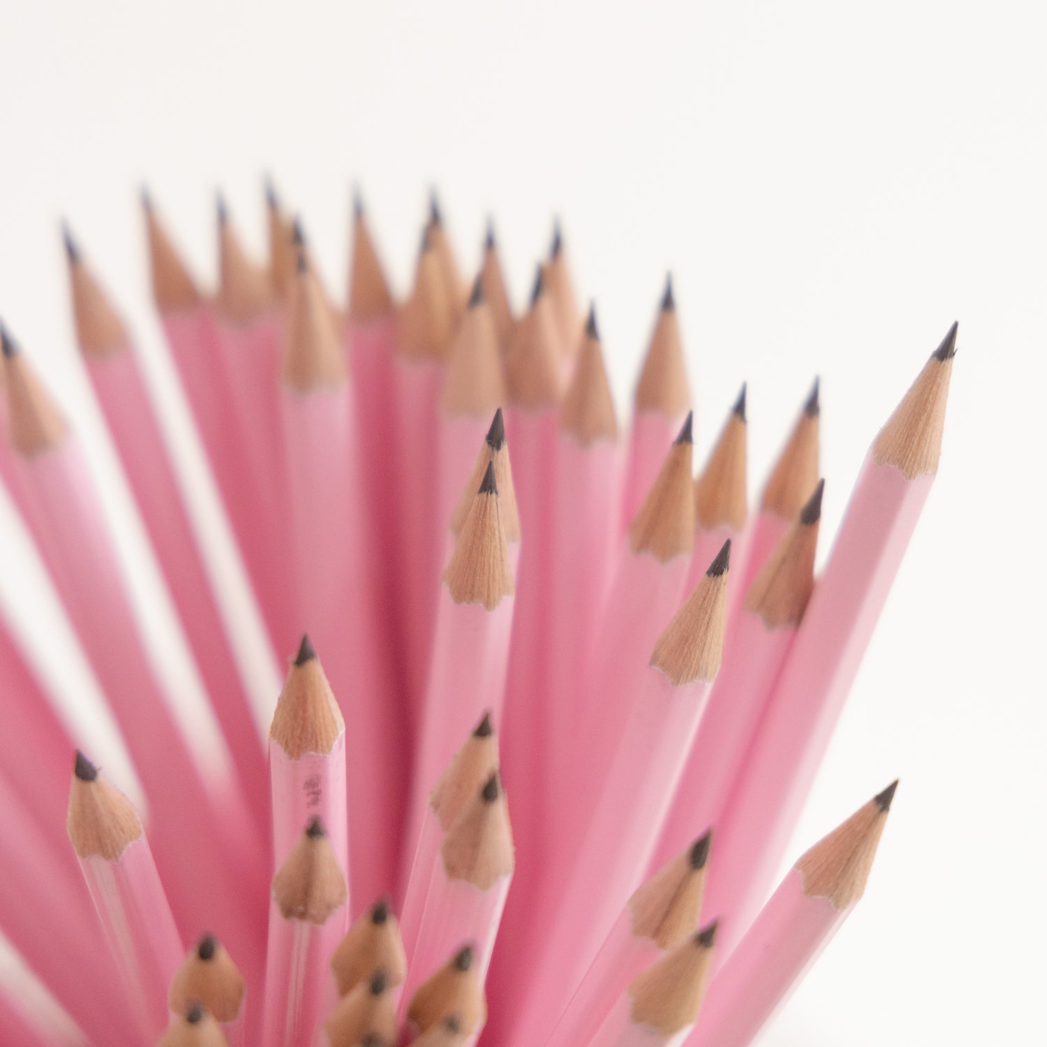 A collection of bright pink Salt Art Supply pencils