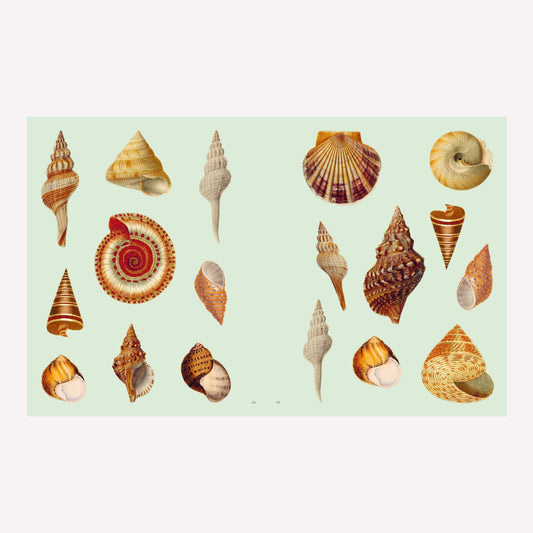 Extraordinary Things Illustrated Sticker Book