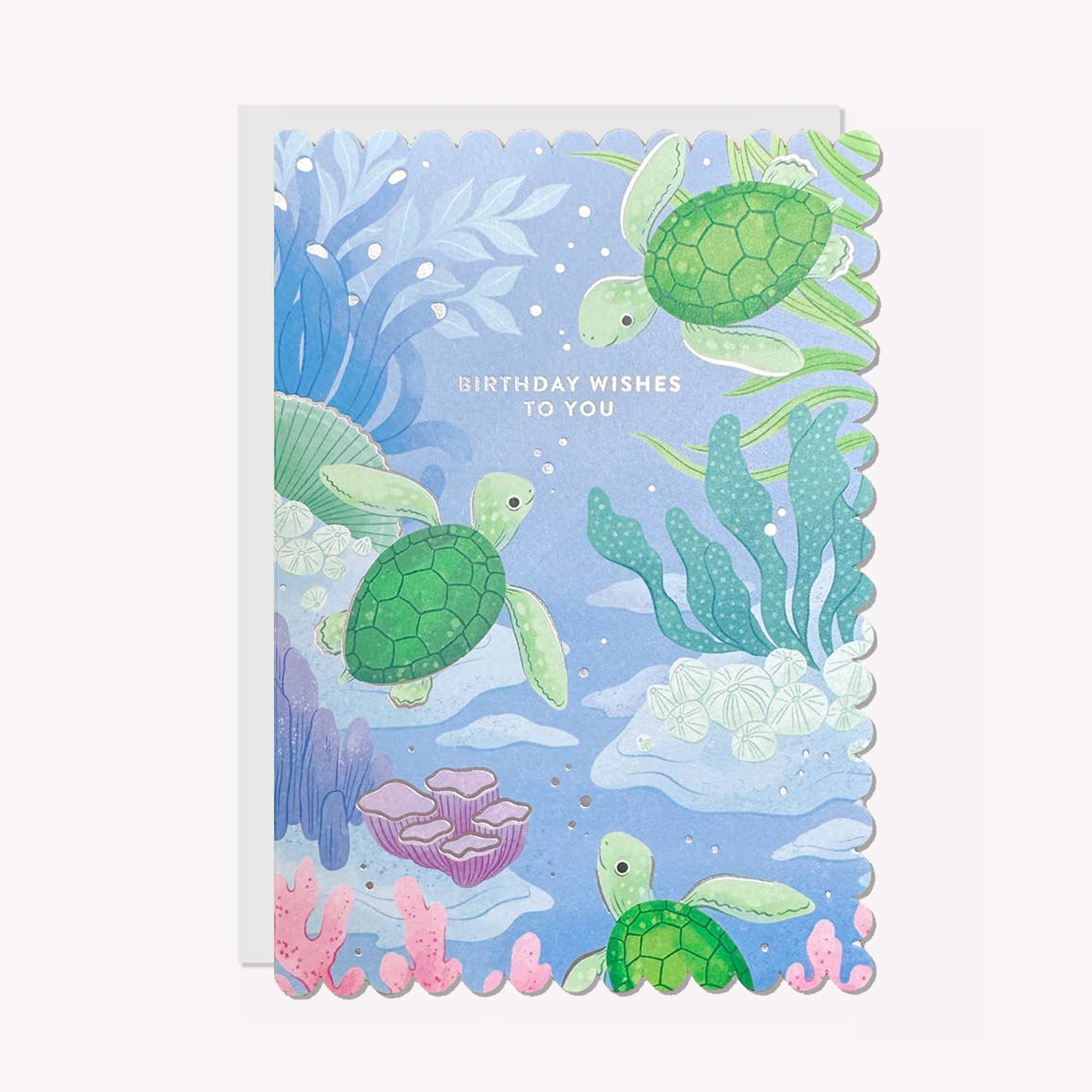 Birthday Wishes To You Turtle Greetings Card