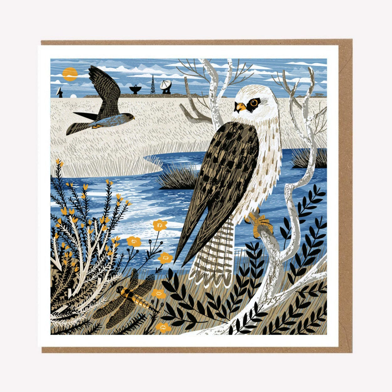 Goonhilly Falcons Cornwall Greetings Card