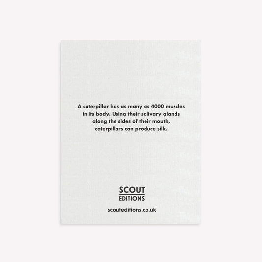 Caterpillar Mini Greetings Card