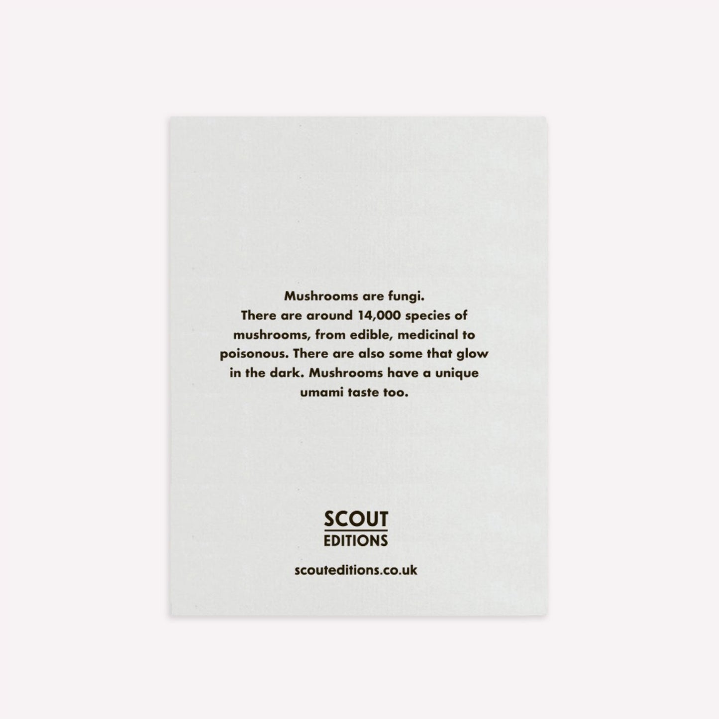 Mushrooms Mini Greetings Card