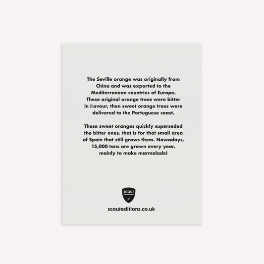 Seville Orange Bag Mini Greetings Card