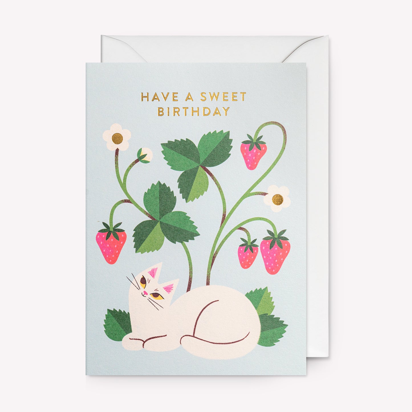 Sweet Birthday Cat and Strawberries Greetings Card