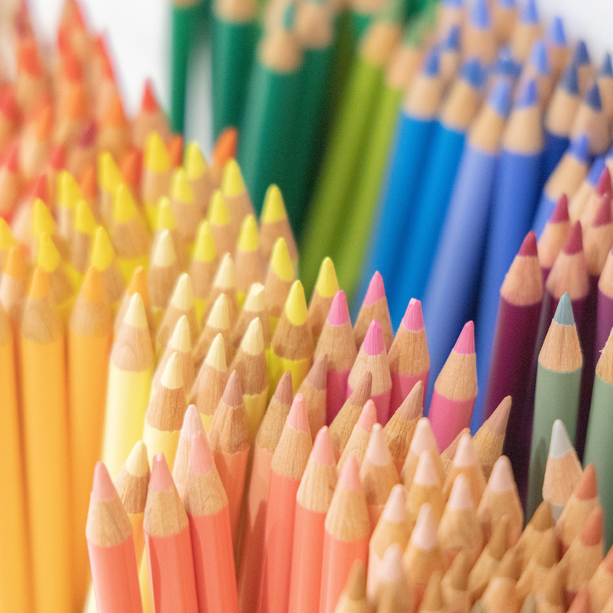 Salt Art Supply — Art, Stationery & Creative Gifts