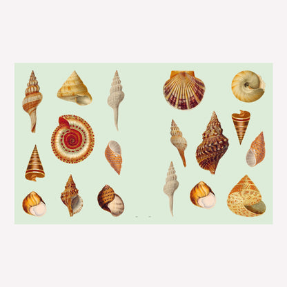 Extraordinary Things Sticker Book