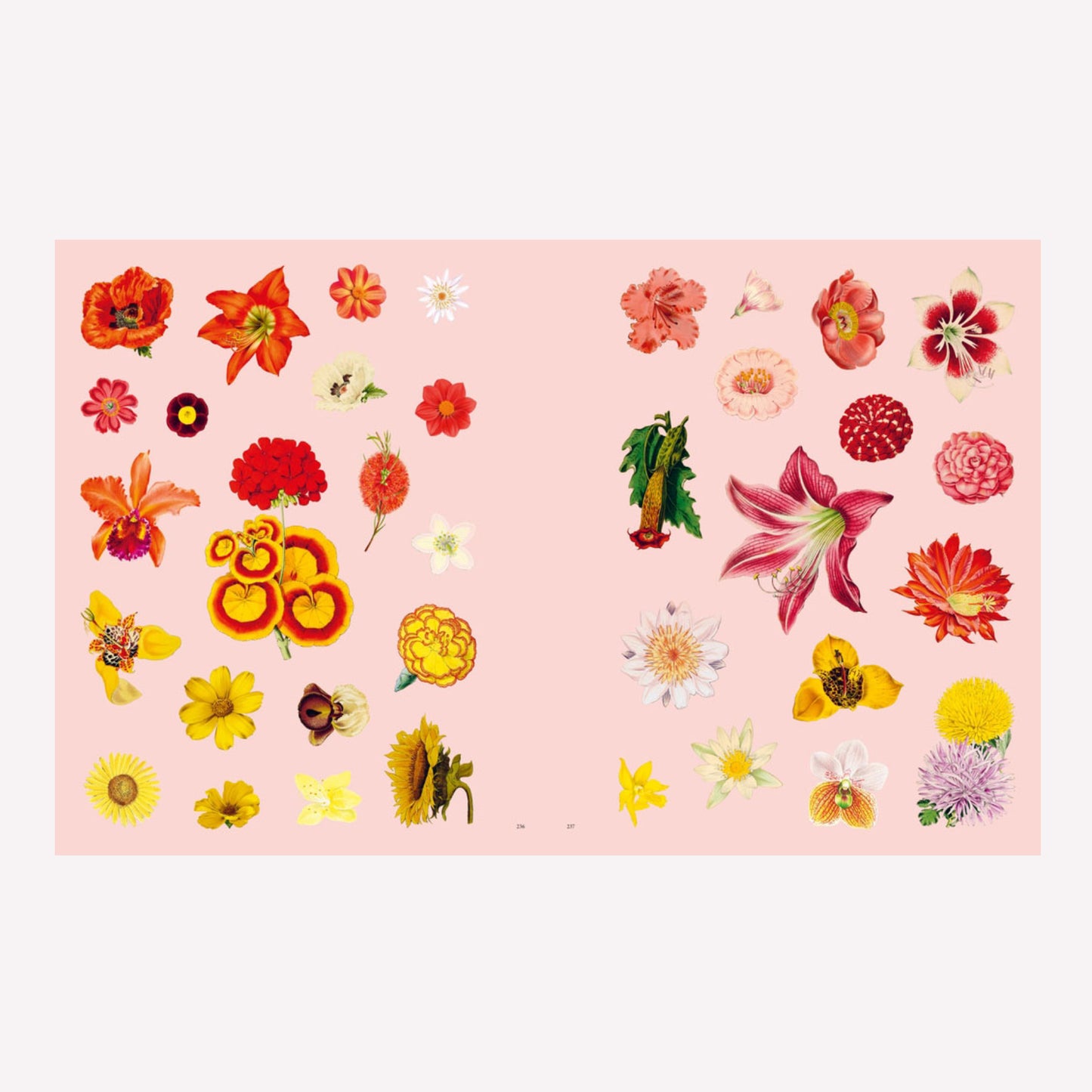 Extraordinary Things Sticker Book