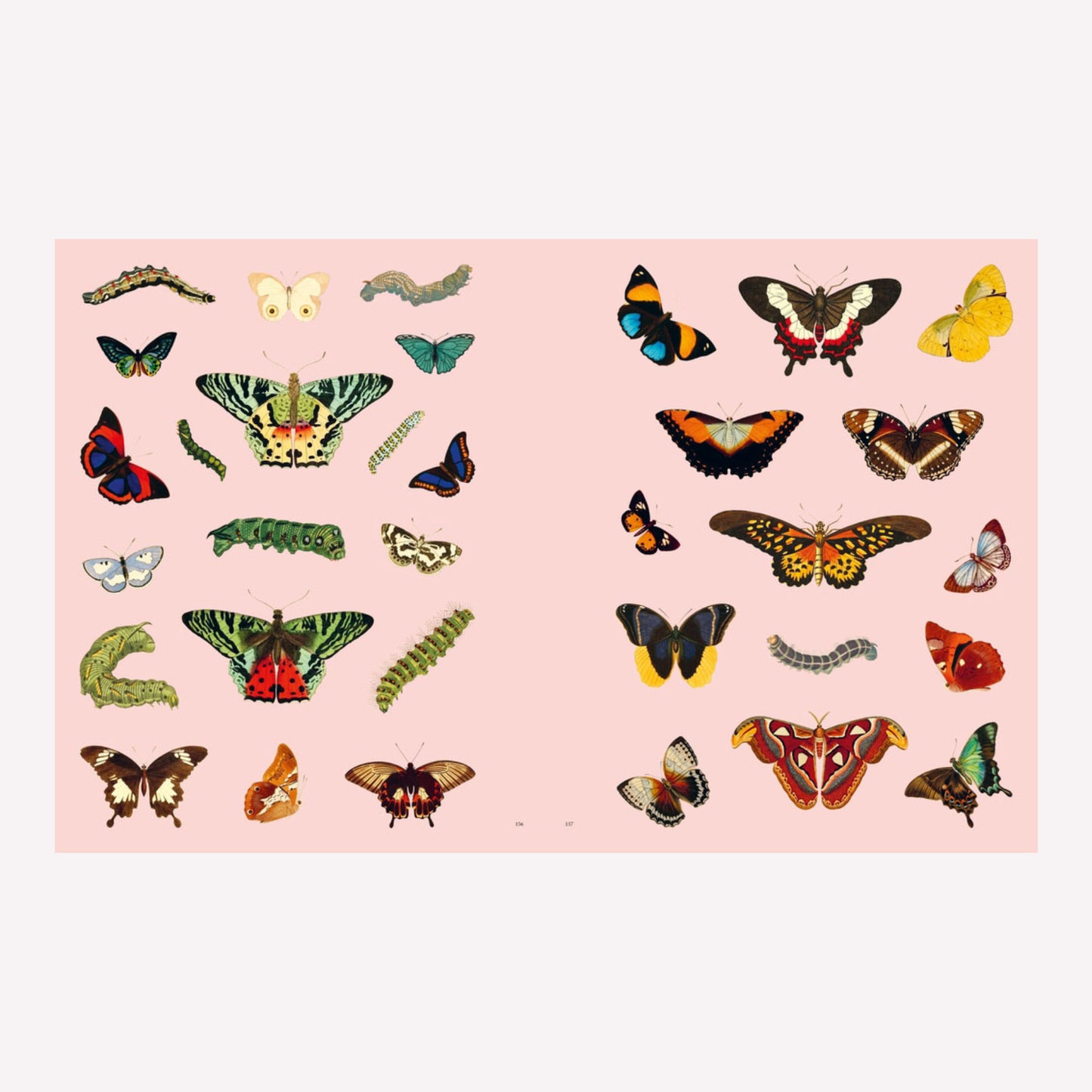 Extraordinary Things Sticker Book