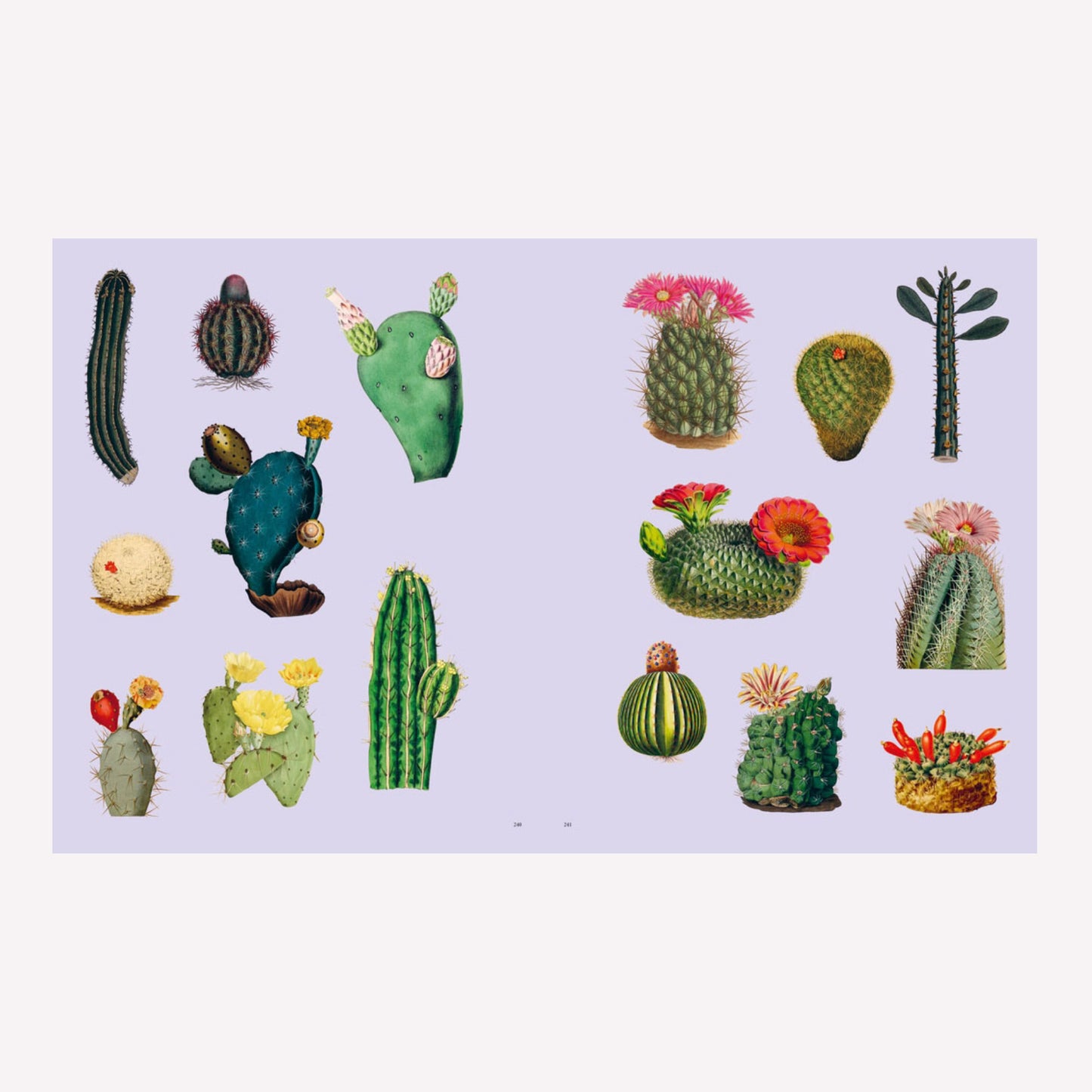 Extraordinary Things Sticker Book