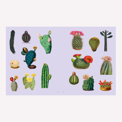 Extraordinary Things Sticker Book