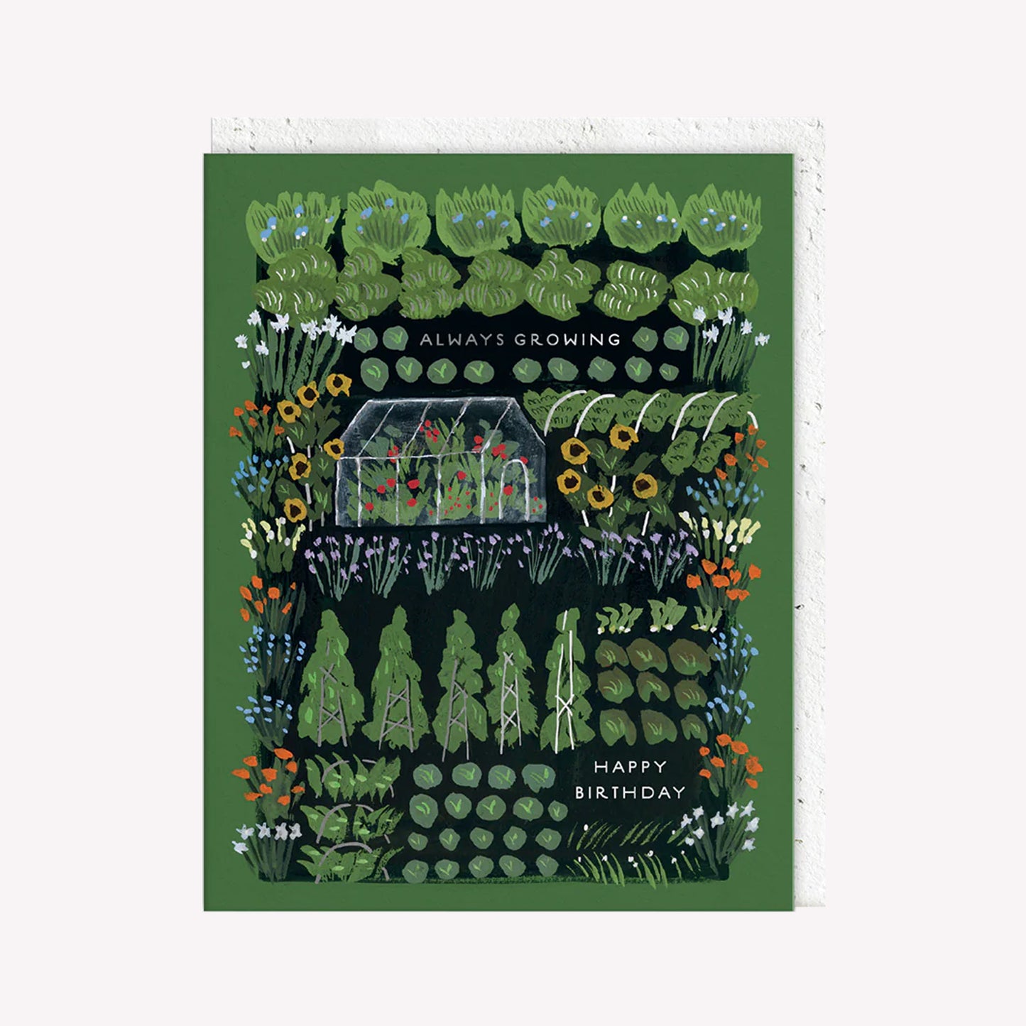 Always Growing Garden Birthday Greetings Card