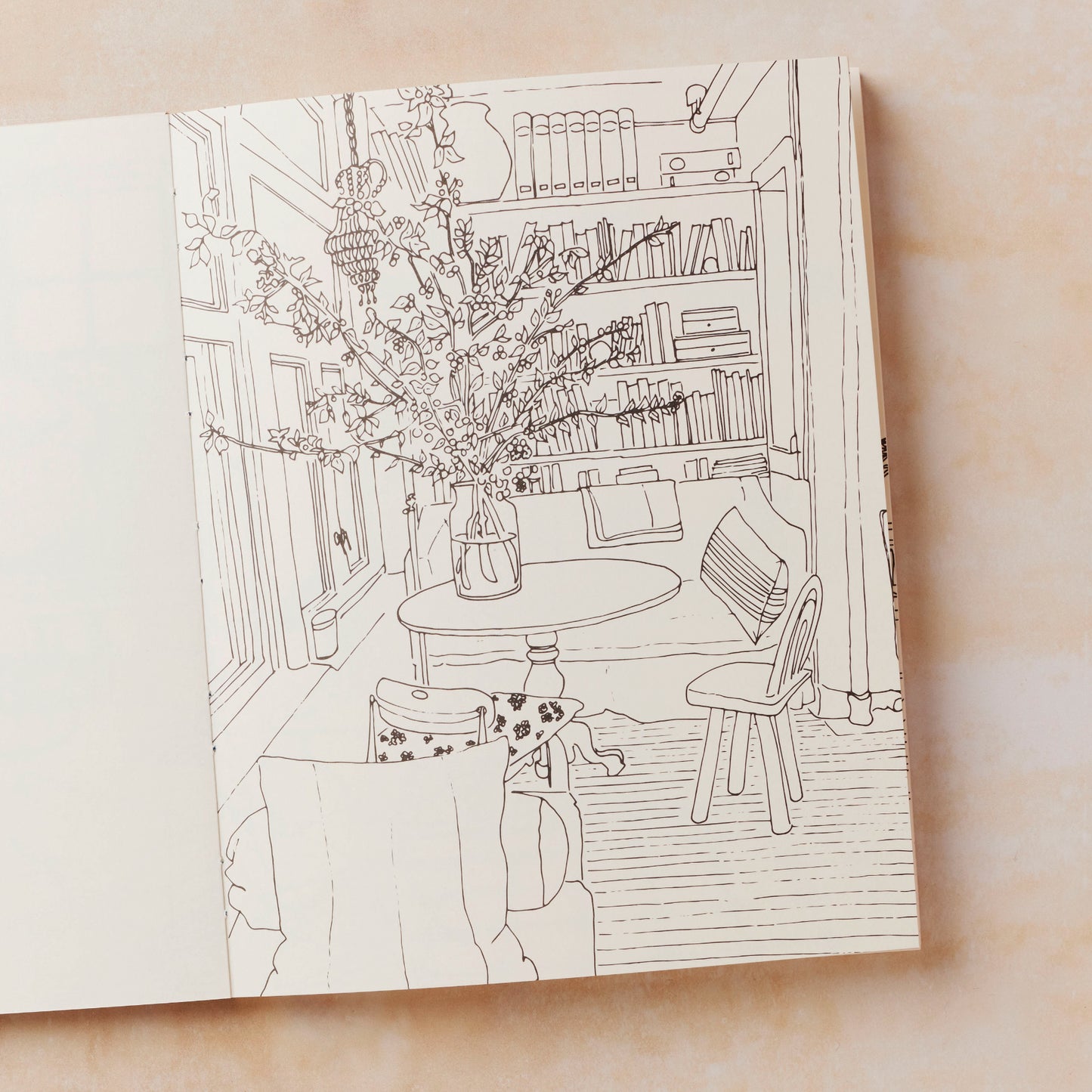 Chez Moi: A Collection Of Beautiful Rooms To Colour Colouring Book