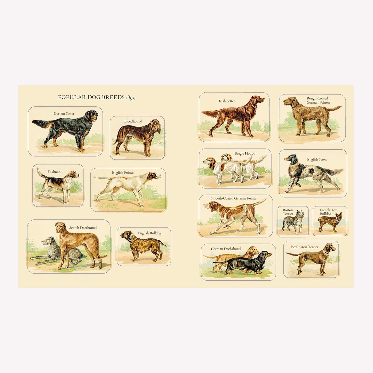 Cynthia Hart's Victoriana Dogs Sticker Book