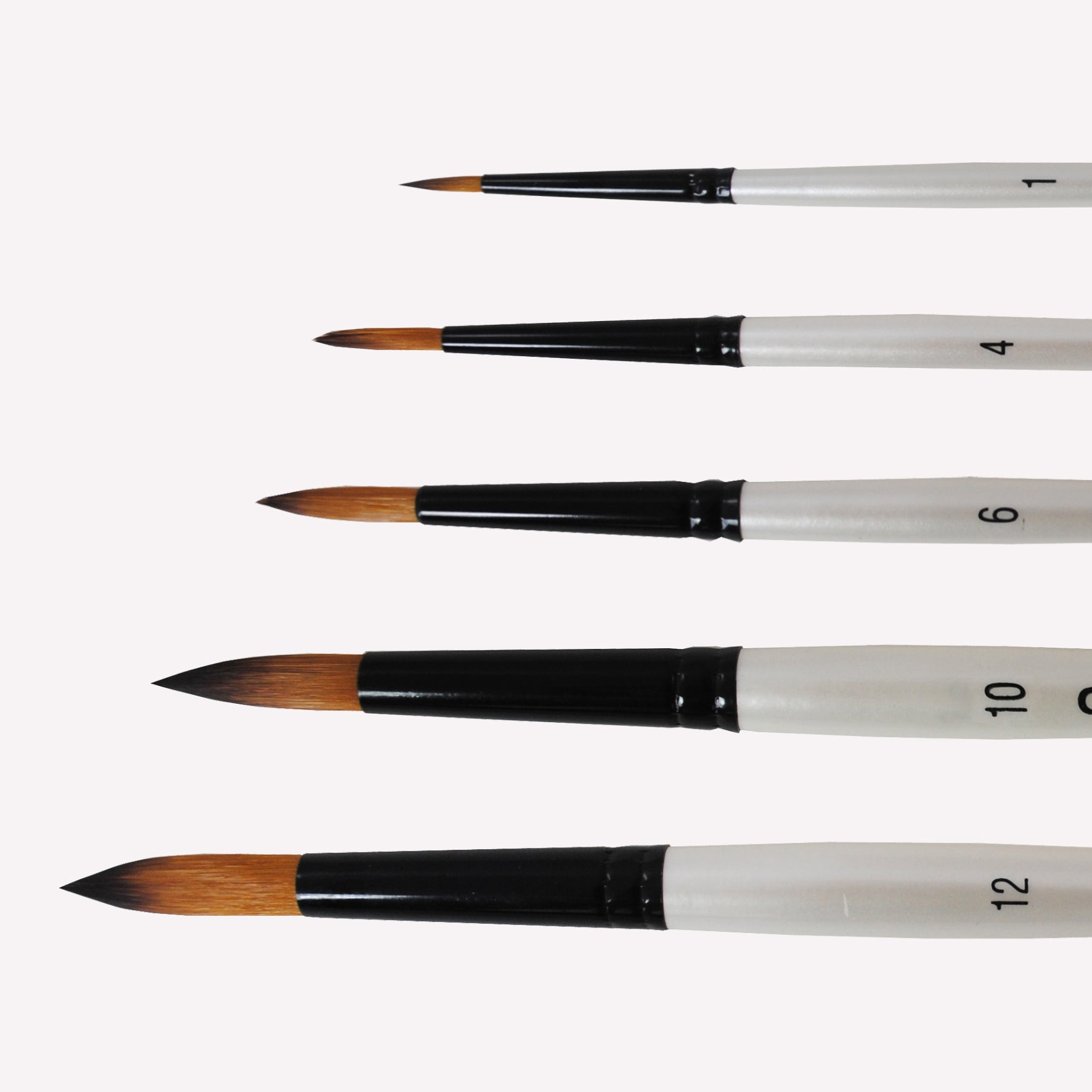 Daler-Rowney graduate synthetic round brushes in multiple sizes including size 1,4,6,10 and 12. Round bristles are suitable for painting lines of varying width. Brushes have a white handle and black ferrule. 