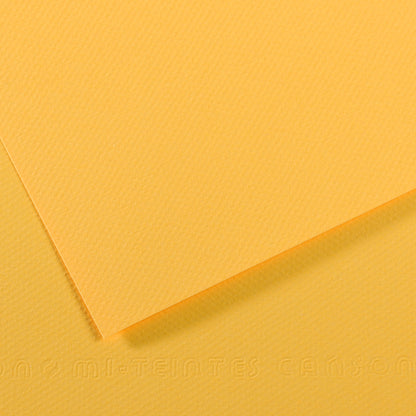Daler-Rowney Mi-Teintes Coloured Paper Sheet Half Size (50 x 32cm)