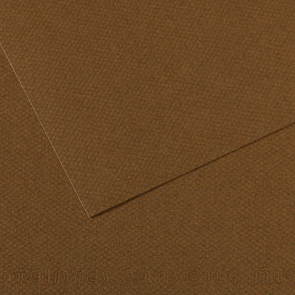 Daler-Rowney Mi-Teintes Coloured Paper Sheet Half Size (50 x 32cm)