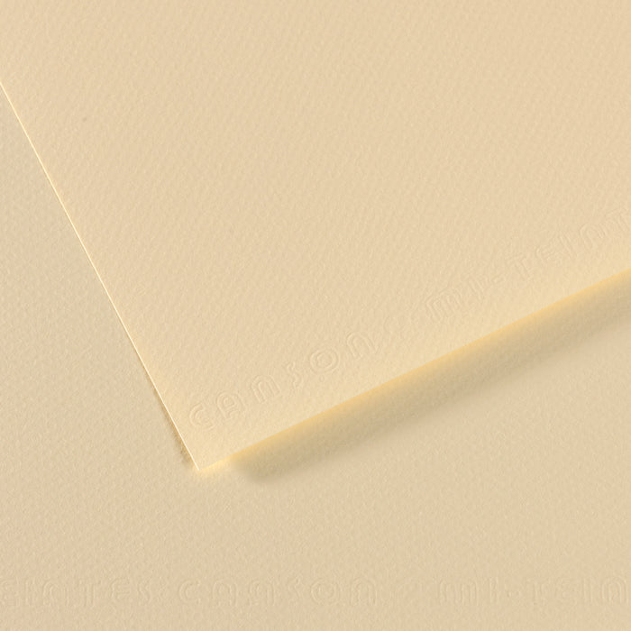 Daler-Rowney Mi-Teintes Coloured Paper Sheet Half Size (50 x 32cm)