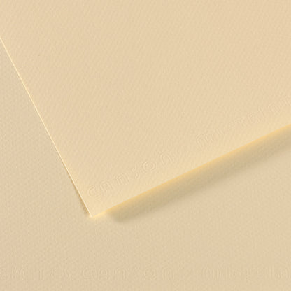 Daler-Rowney Mi-Teintes Coloured Paper Sheet Half Size (50 x 32cm)