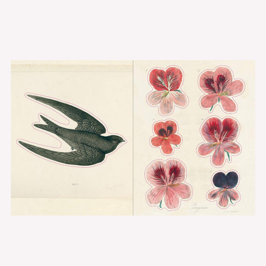 Inside John Derian's illustrated vintage sticker book, with a large illustrated sticker of a swift and six smaller pink flower stickers.