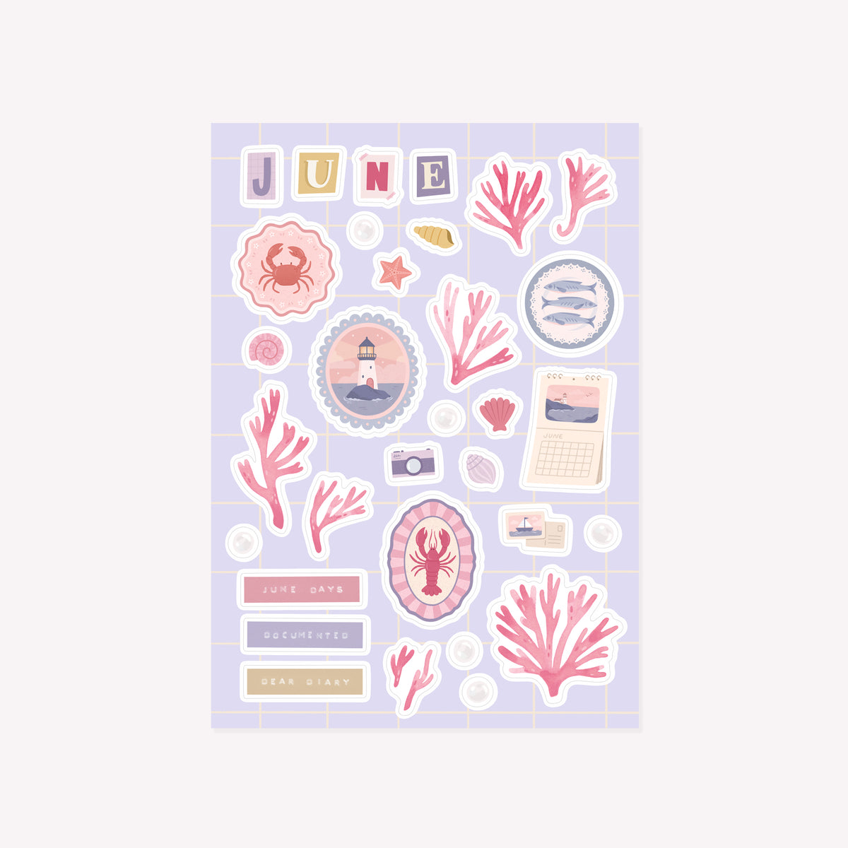 Monthly Salt Scrap Club Mail Sticker Sheet (Extras & Seconds)