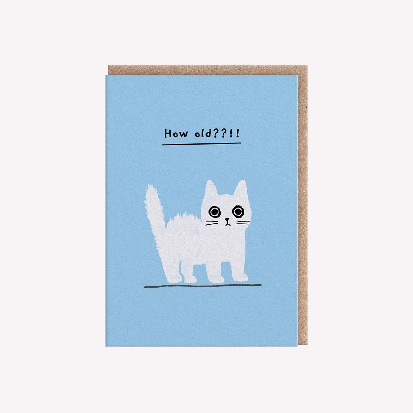 How Old?! Kitten Mini Greetings Card