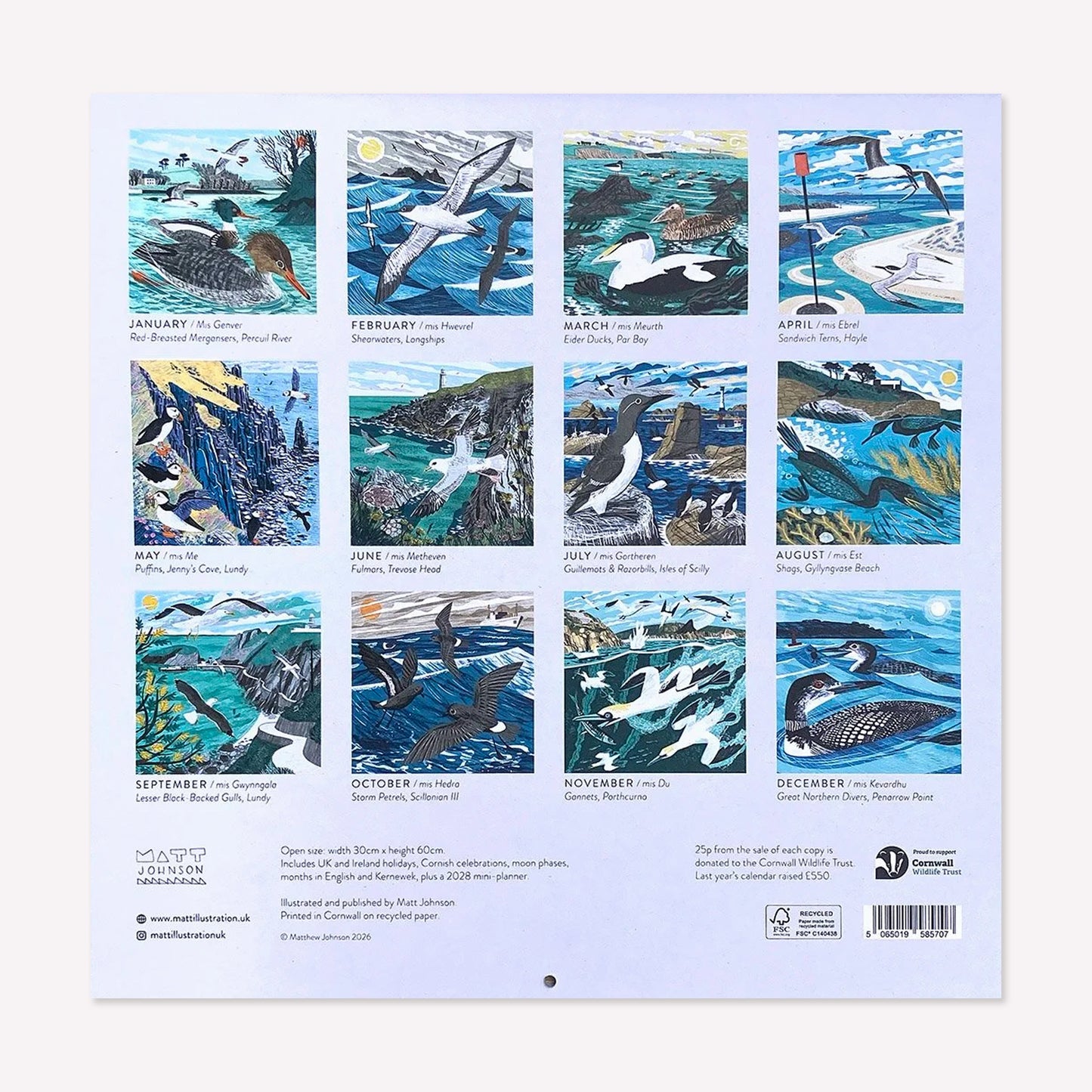 The back of Matt Johnson's ‘Cornwall, Scilly and Lundy Seabirds' Cornwall calendar for 2027. The illustration for each month is shown in a grid layout.