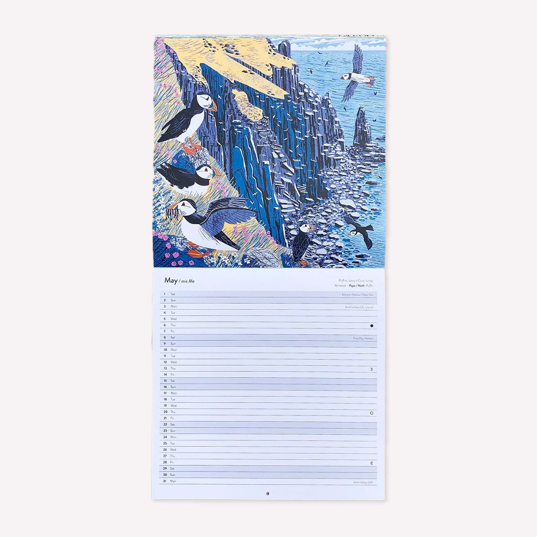 Inside Matt Johnson's ‘Cornwall, Scilly and Lundy Seabirds' Cornwall wall calendar for 2027. The calendar is opened on May, with a full illustration of Puffins in Lundy. 