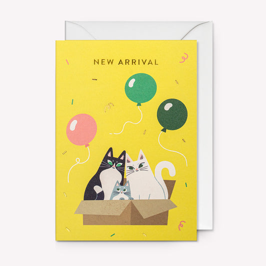 New Arrival Kitten Greetings Card
