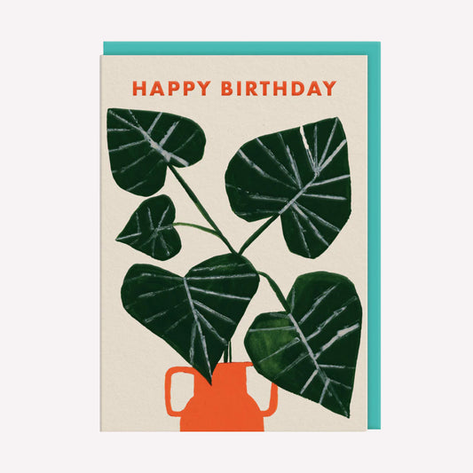 Happy Birthday Monstera Vase Greetings Card
