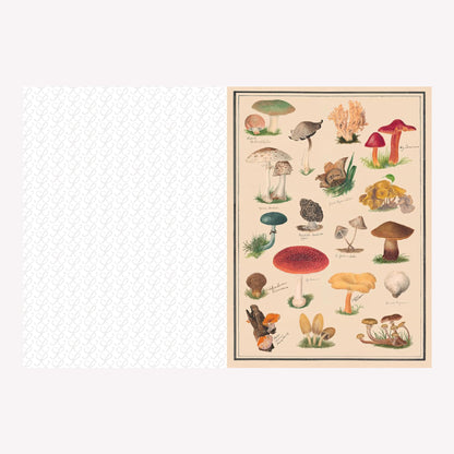 Roomytown's Collage Compendium Book