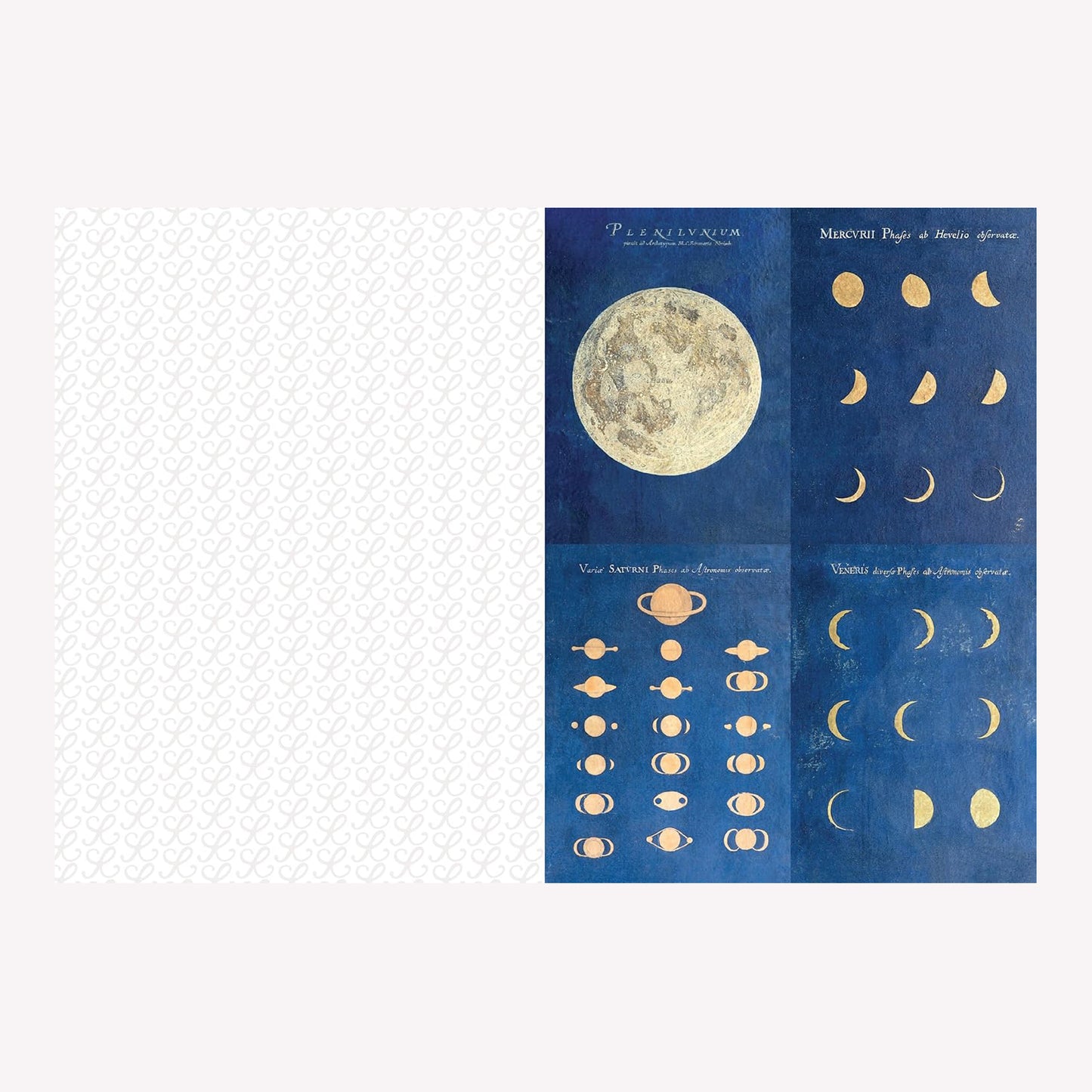 Roomytown's Collage Compendium Book