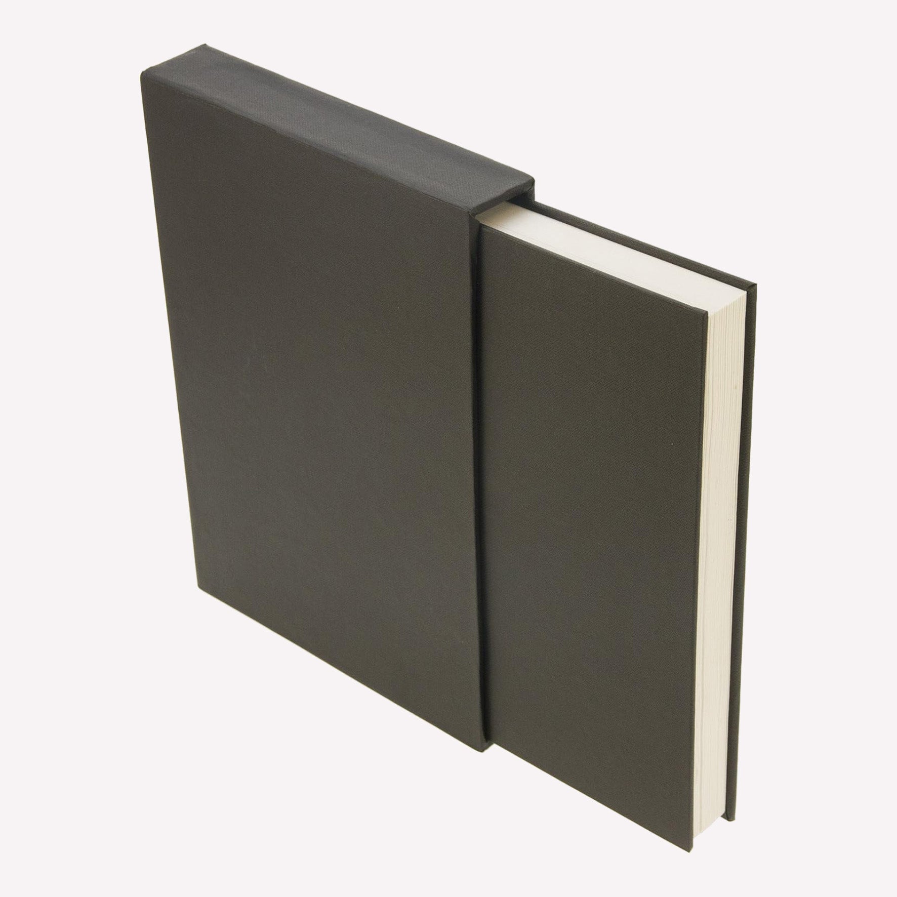 Concertina accordion sketchbook with sturdy black storage case made by seawhite of brighton. 