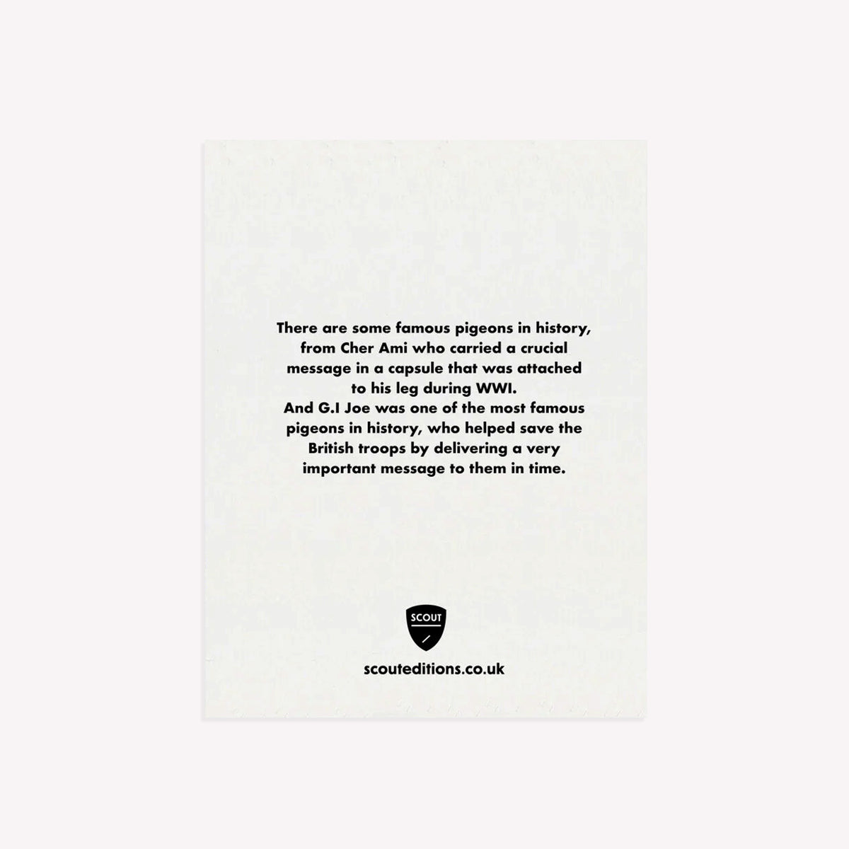 Pigeon Mini Greetings Card