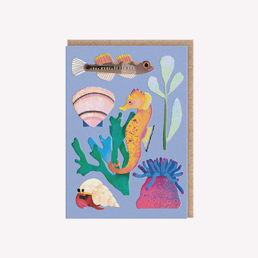 Seashore Creatures Mini Greetings Card