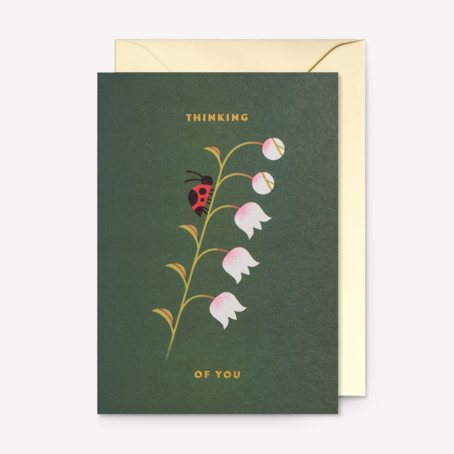 Thinking of You Ladybird Greetings Card