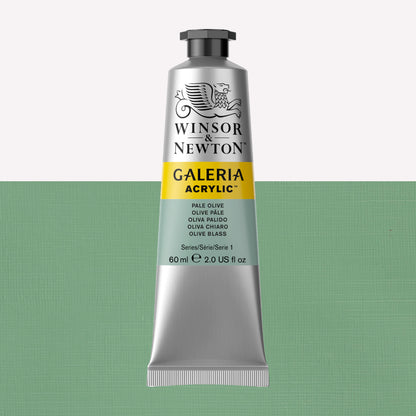A 60ml tube of vibrant Galeria Acrylic paint in the shade Pale Olive. This professional-quality paint is packaged in a silver tube with a black lid. Made by Winsor and Newton.