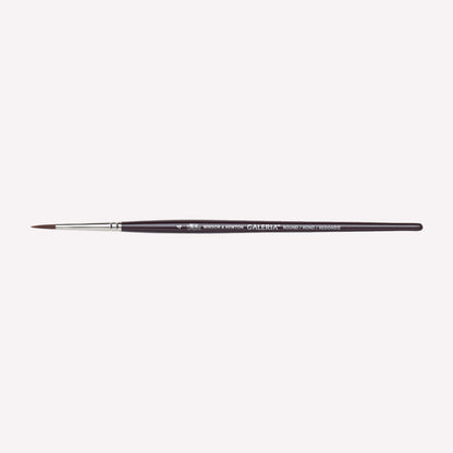 Winsor & Newton Galeria Round paintbrush in size 4. Brushes have synthetic filaments, and short wooden handles. 
