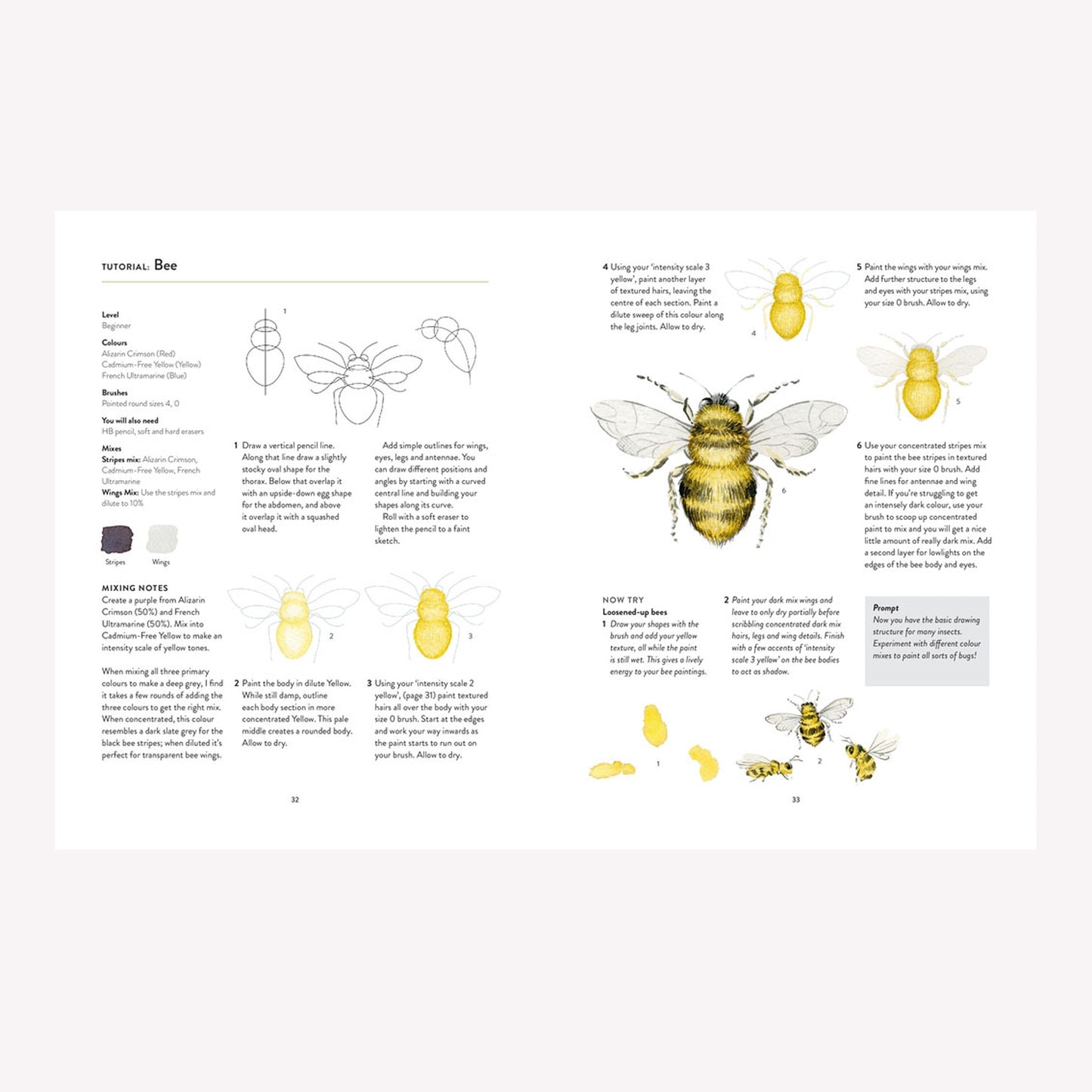 You Will Be Able To Paint With Watercolour By The End Of This Book