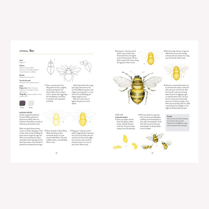You Will Be Able To Paint With Watercolour By The End Of This Book
