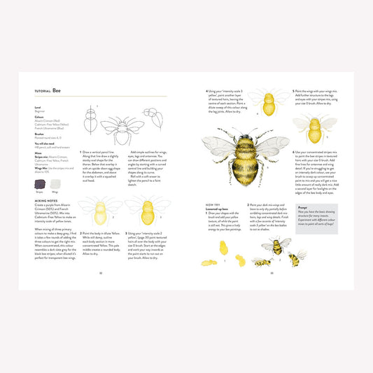 You Will Be Able To Paint With Watercolour By The End Of This Book
