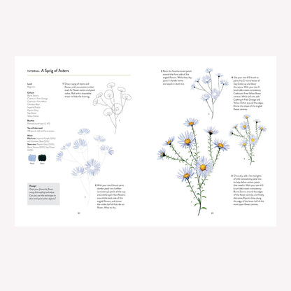 You Will Be Able To Paint With Watercolour By The End Of This Book